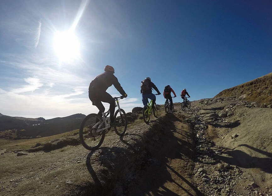 Mountain biking trail