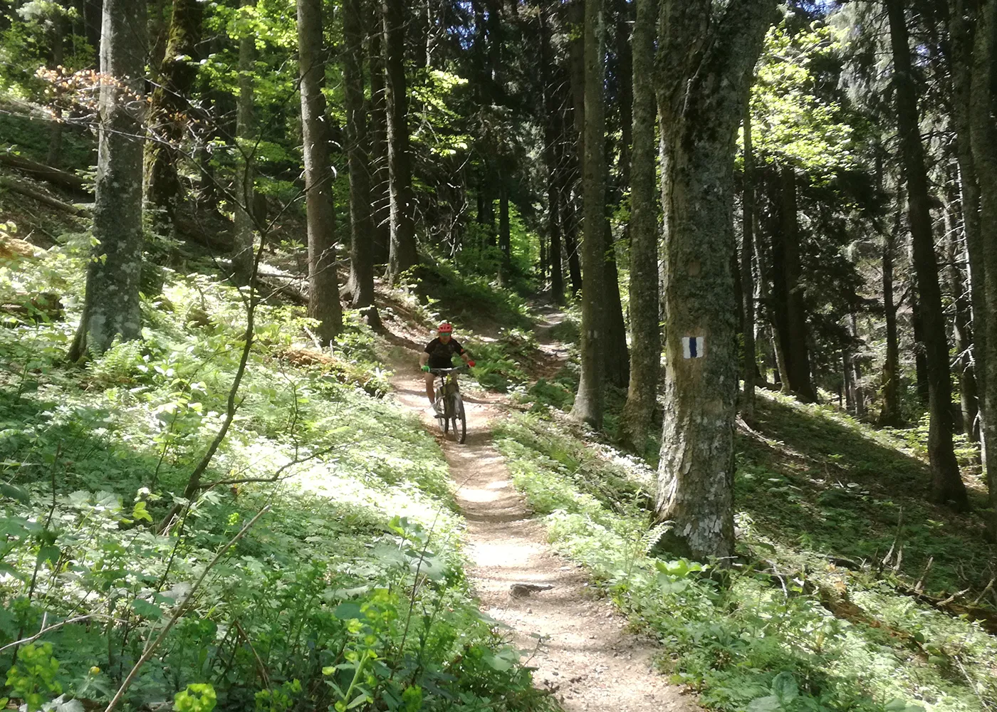 Școala de MTB